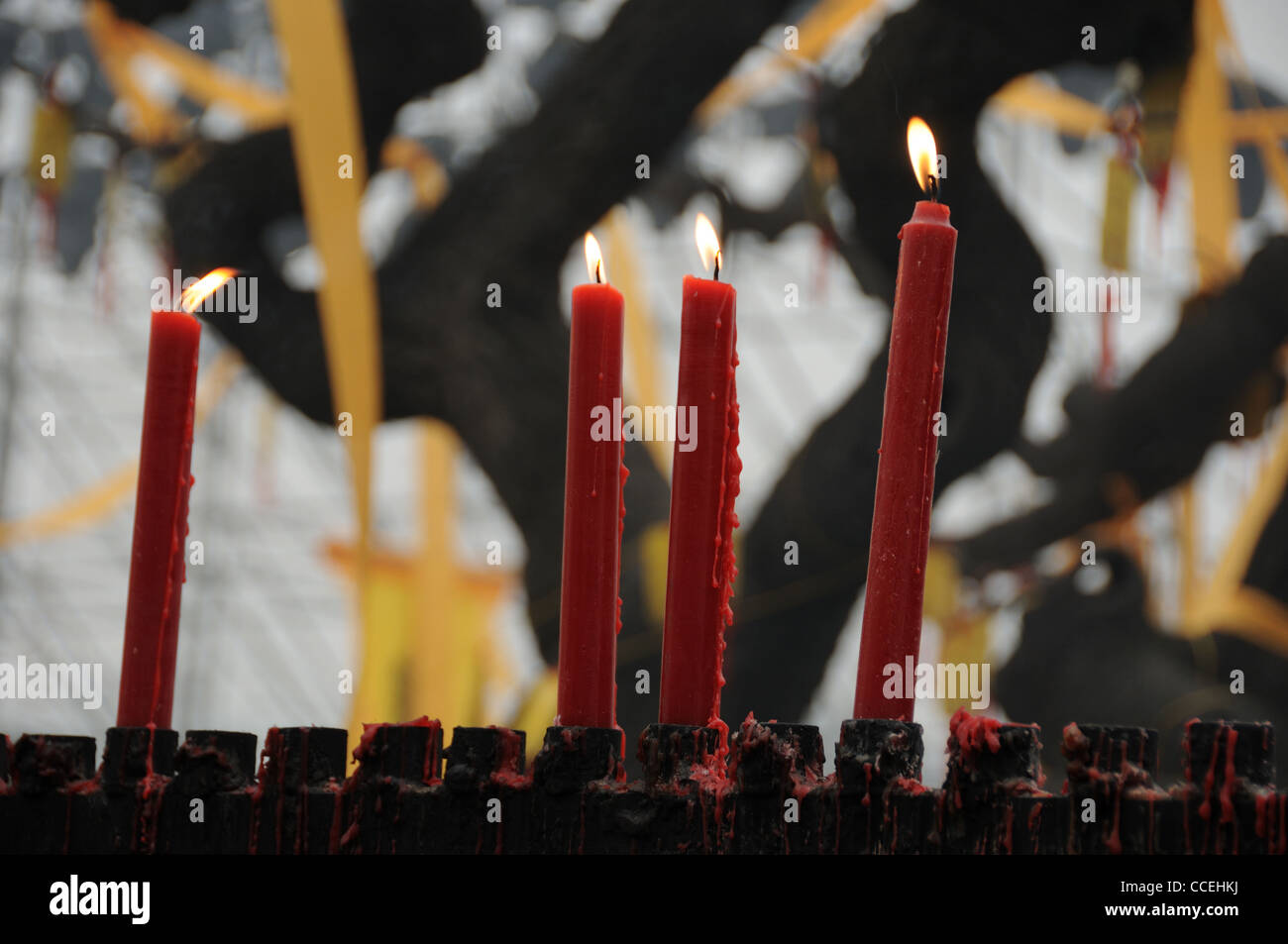 Candles under decorated tree Stockfoto