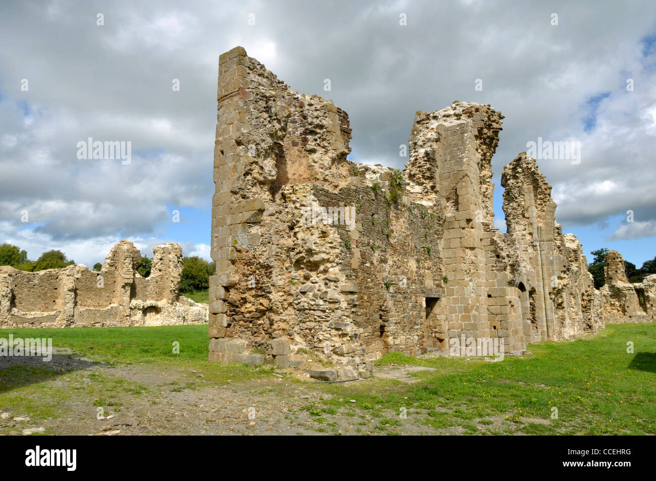 Die Ruinen der Abtei von Savigny, XII (Savigny le Vieux, Normandie, Frankreich). Stockfoto