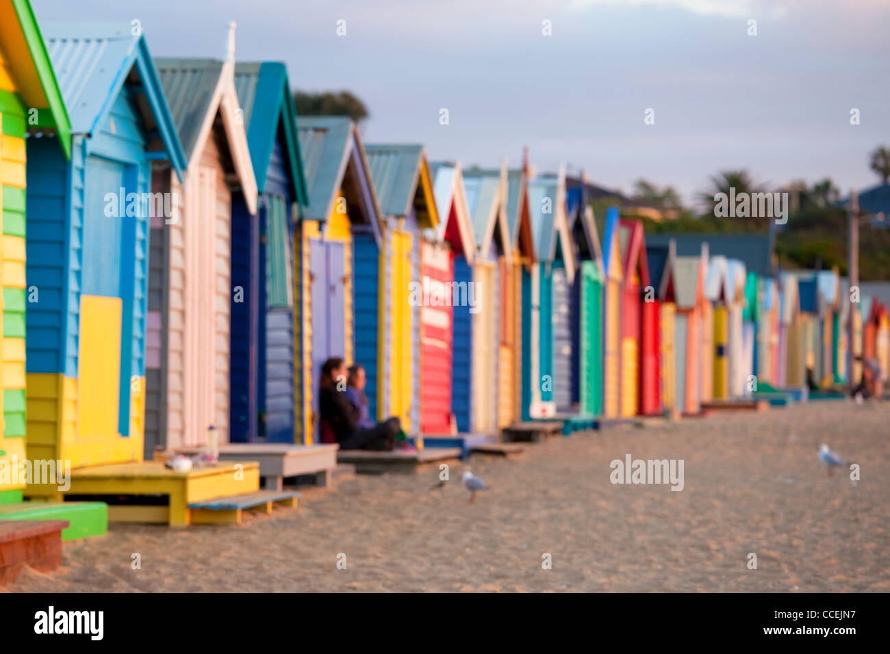 Strandhütten in Melbourne Australien Brighton Beach ist sehr bunt bemalt entlang des Sandstrandes. Reisen in Victoria au Stockfoto