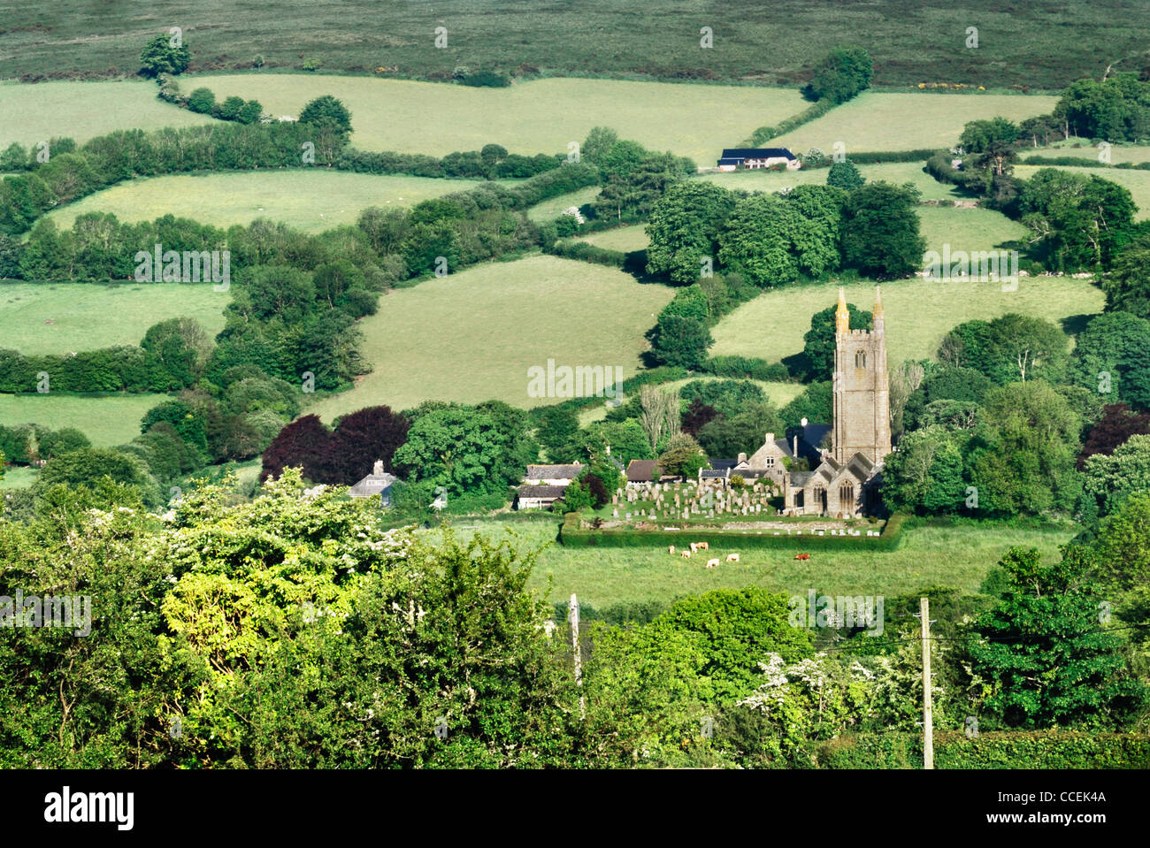 Blick Richtung Widecombe-in-the-Moor, Dartmoor, Devon, England, uk Stockfoto