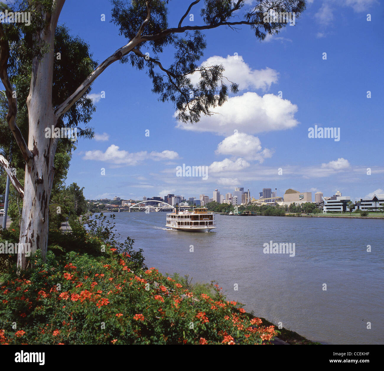 Raddampfer Riverboat am Brisbane River, Brisbane, Queensland, Australien Stockfoto