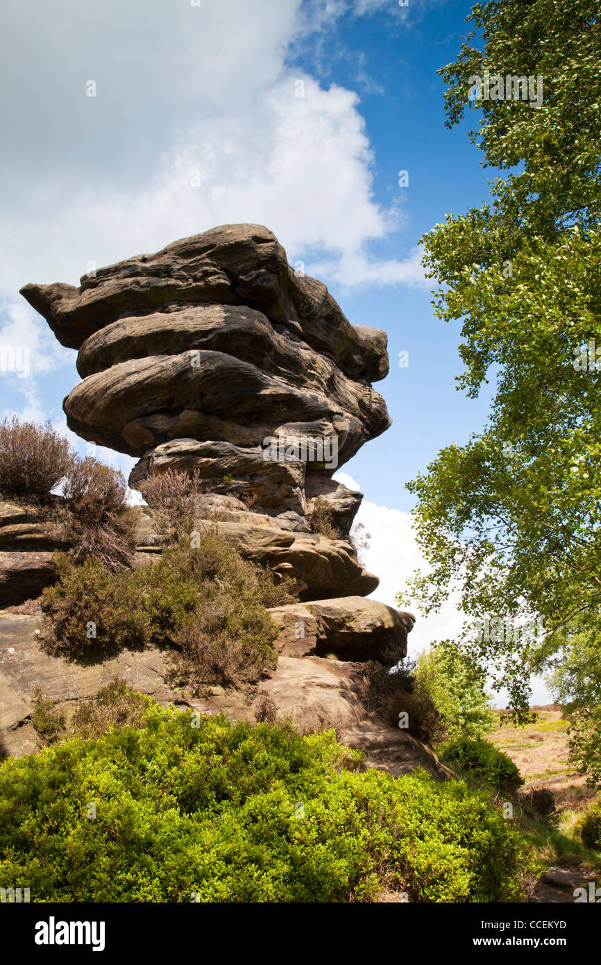 Vertikale Schuss von Brimham Rocks, North Yorkshire, England. Stockfoto