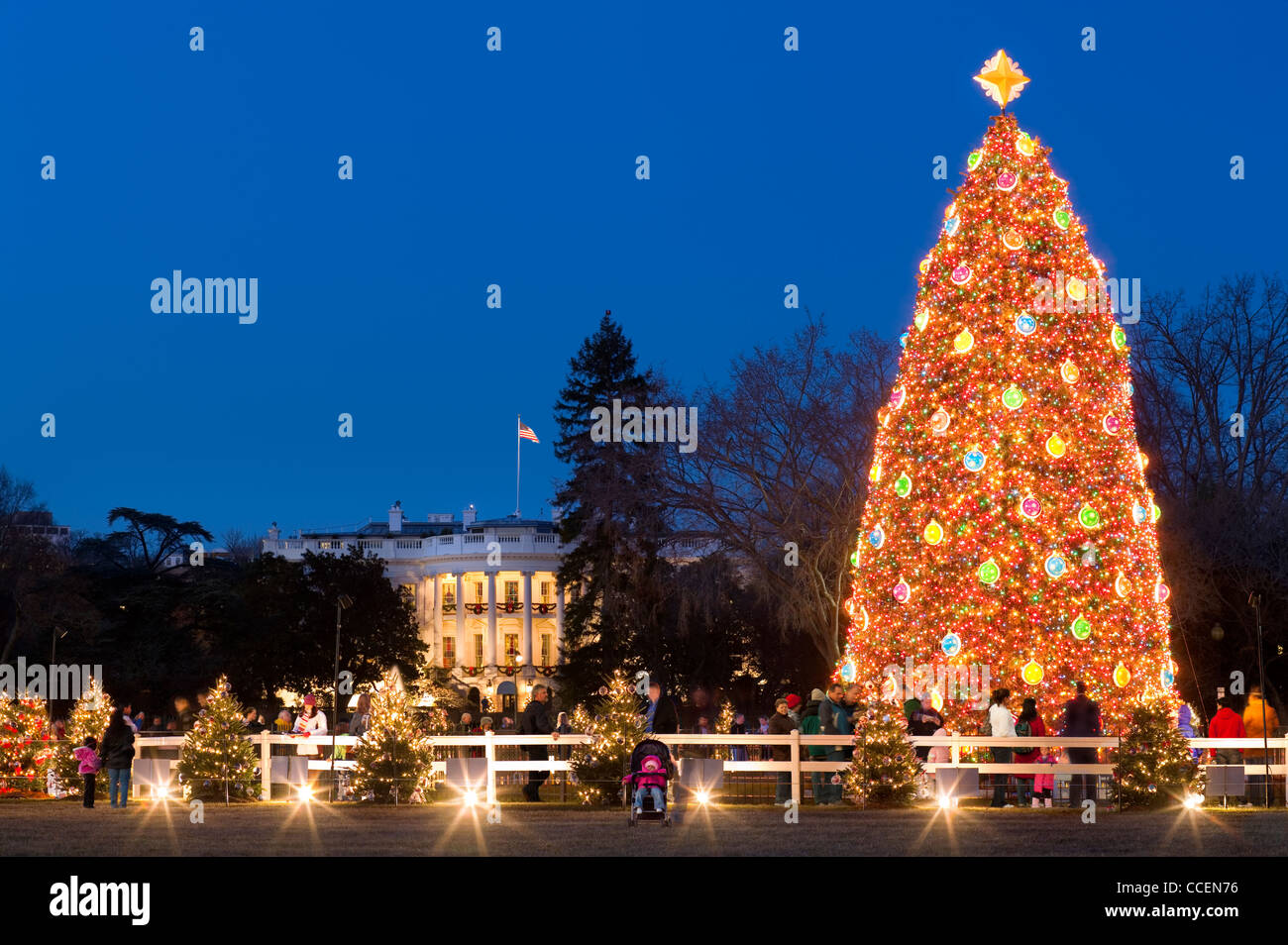 Der National Christmas Tree vor dem weißen Haus Washington DC mit Besuchern und der Festzug des Friedens Stockfoto