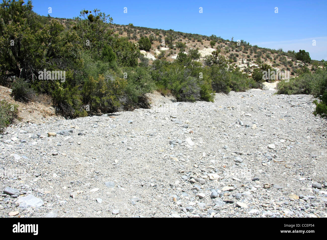 Weg durch den Red Rock Canyon, Nevada, USA Stockfoto