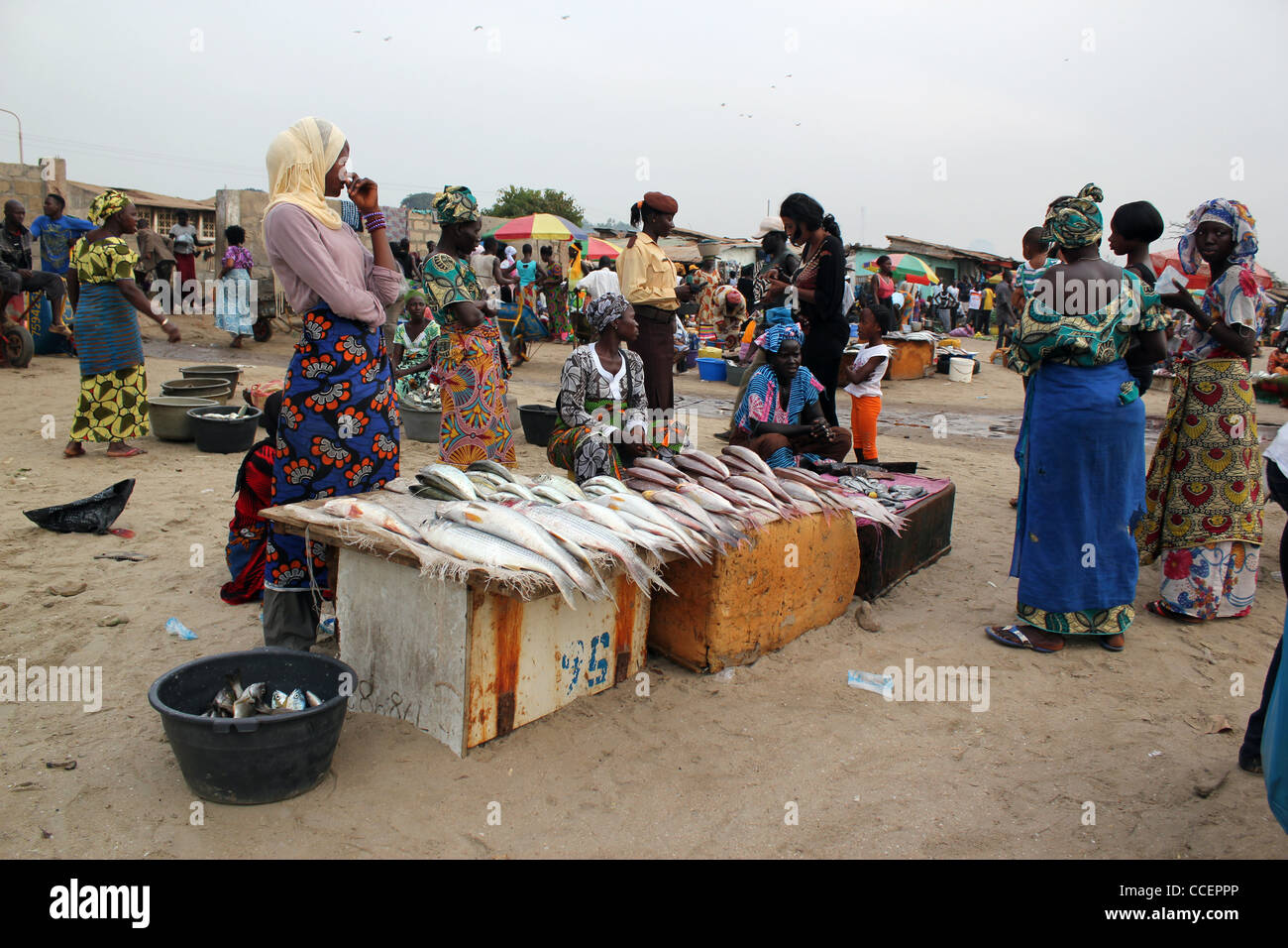 Frauen verkaufen Fisch auf Tanji Strand gambia Stockfoto
