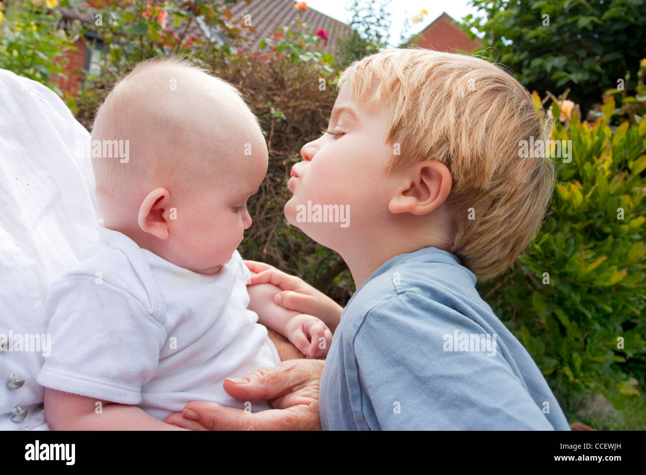 blonde Kleinkind Alter 4 küssen 6 Monate altes Baby, Bruder und Schwester Stockfoto