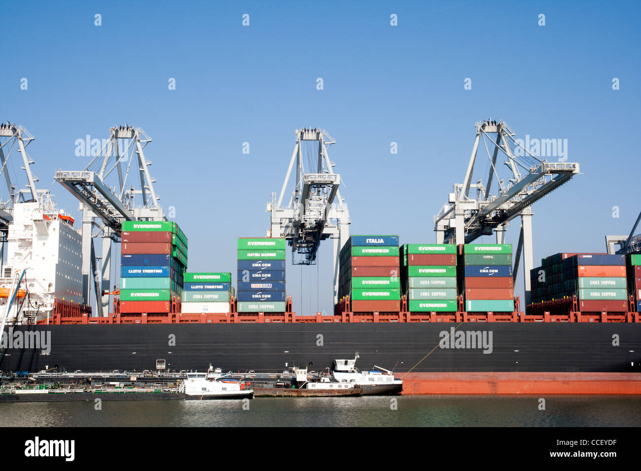 Containerschiff im Hafen von Rotterdam angedockt Stockfoto