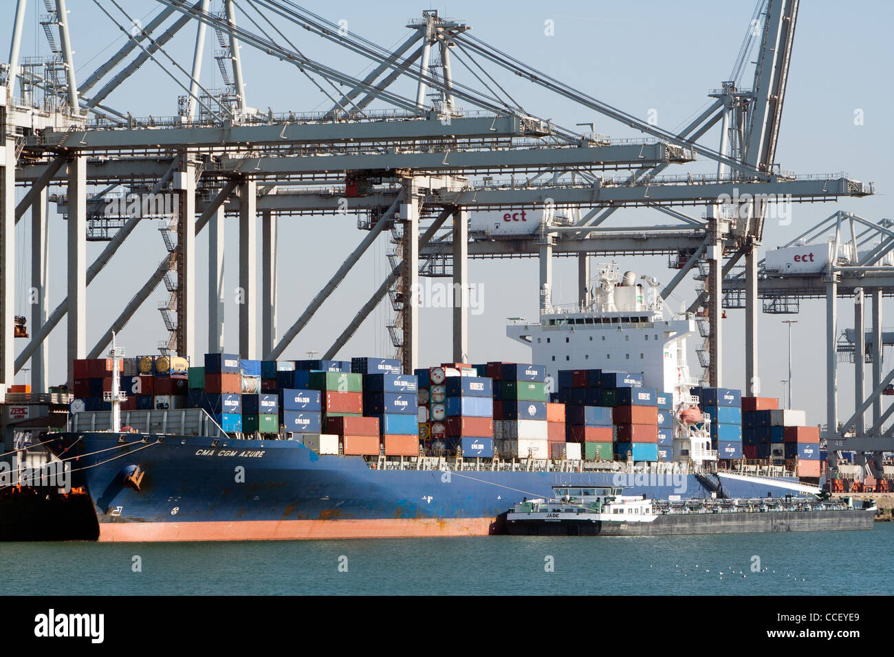 Containerschiff und Kräne im Hafen Stockfoto