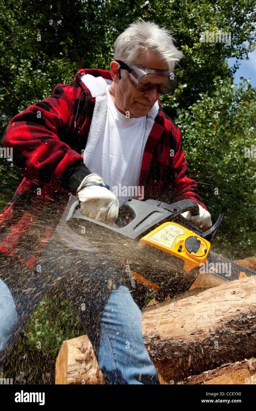 Forstwirtschaftliche Arbeiter schneiden Baum mit Kettensäge Stockfoto