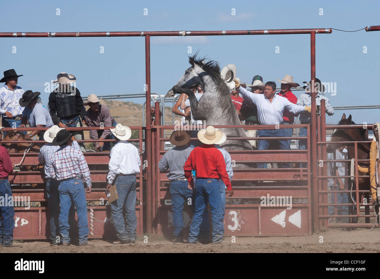 Crow Fair indische Ureinwohner Montana Pferd USA Stockfoto