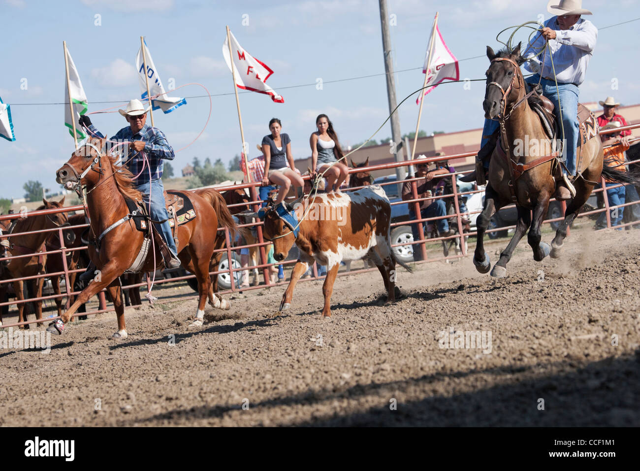 Crow Fair indische Ureinwohner Montana Pferd USA Stockfoto