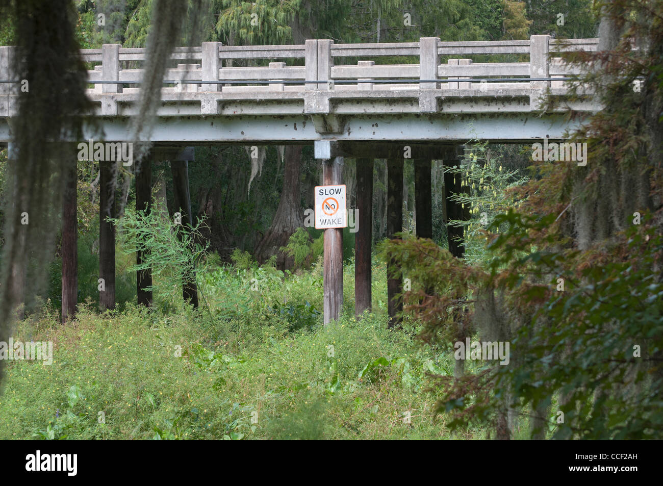Dürre verursachte Cross Creek in Nord-Zentral-Florida zu versiegen und ist unbrauchbar für Nautiker. Stockfoto
