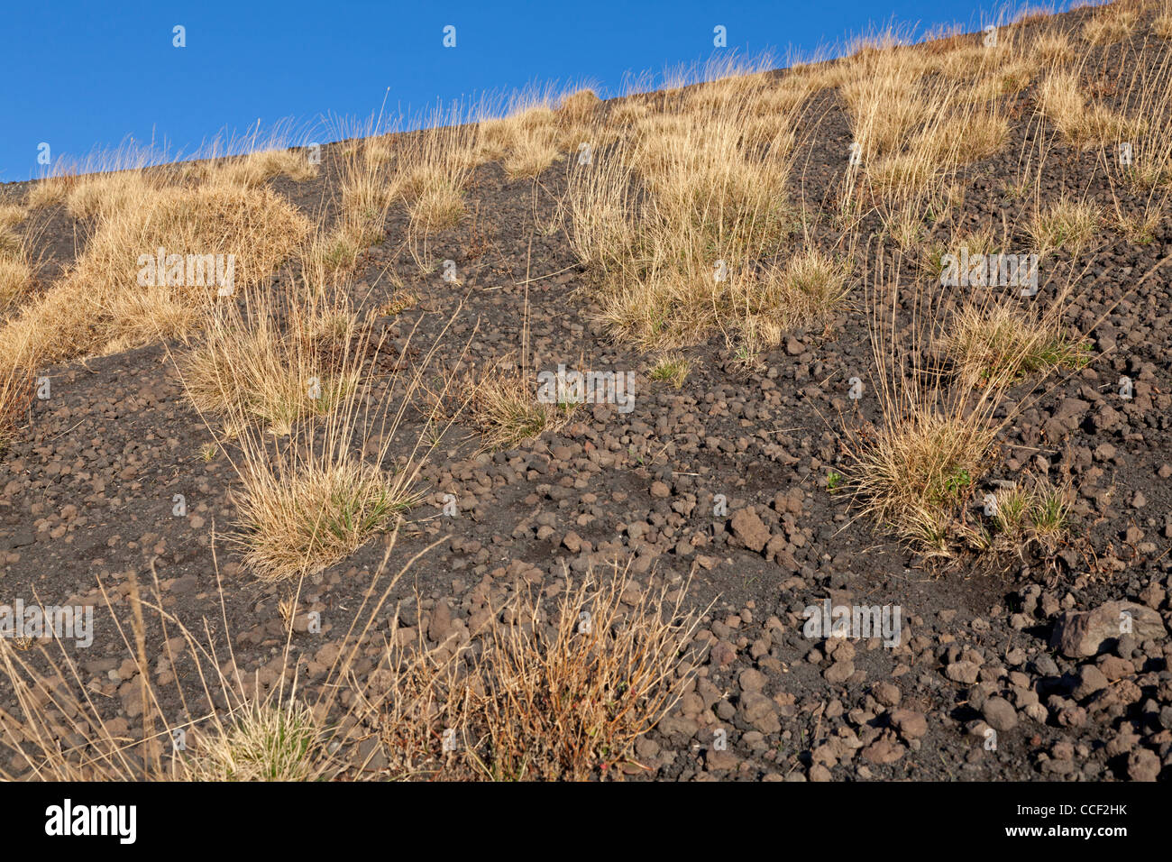 Lavafeld am Ätna, Sizilien, Italien Stockfoto