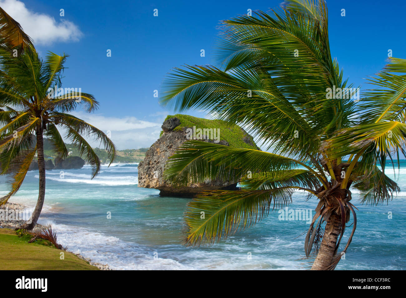 Bathsheba Rock an der Ost Küste von Barbados, West Indies Stockfoto