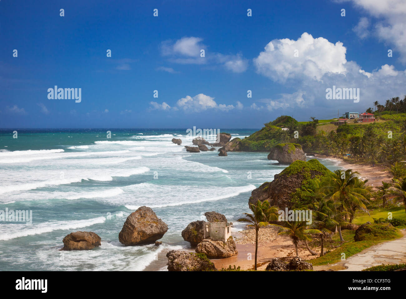 Felsenküste entlang der östlichen Küste von Barbados in Bathsheba Stockfoto