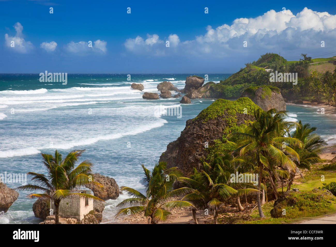 Felsenküste entlang der östlichen Küste von Barbados in Bathsheba Stockfoto