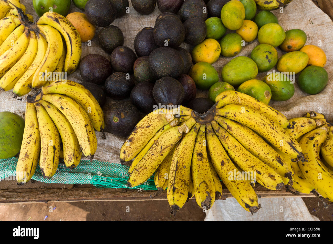 Banane, Mango, Avocado Früchte zum Verkauf an einem Marktstand in Moshi Kilimanjaro-Region Tansania Stockfoto