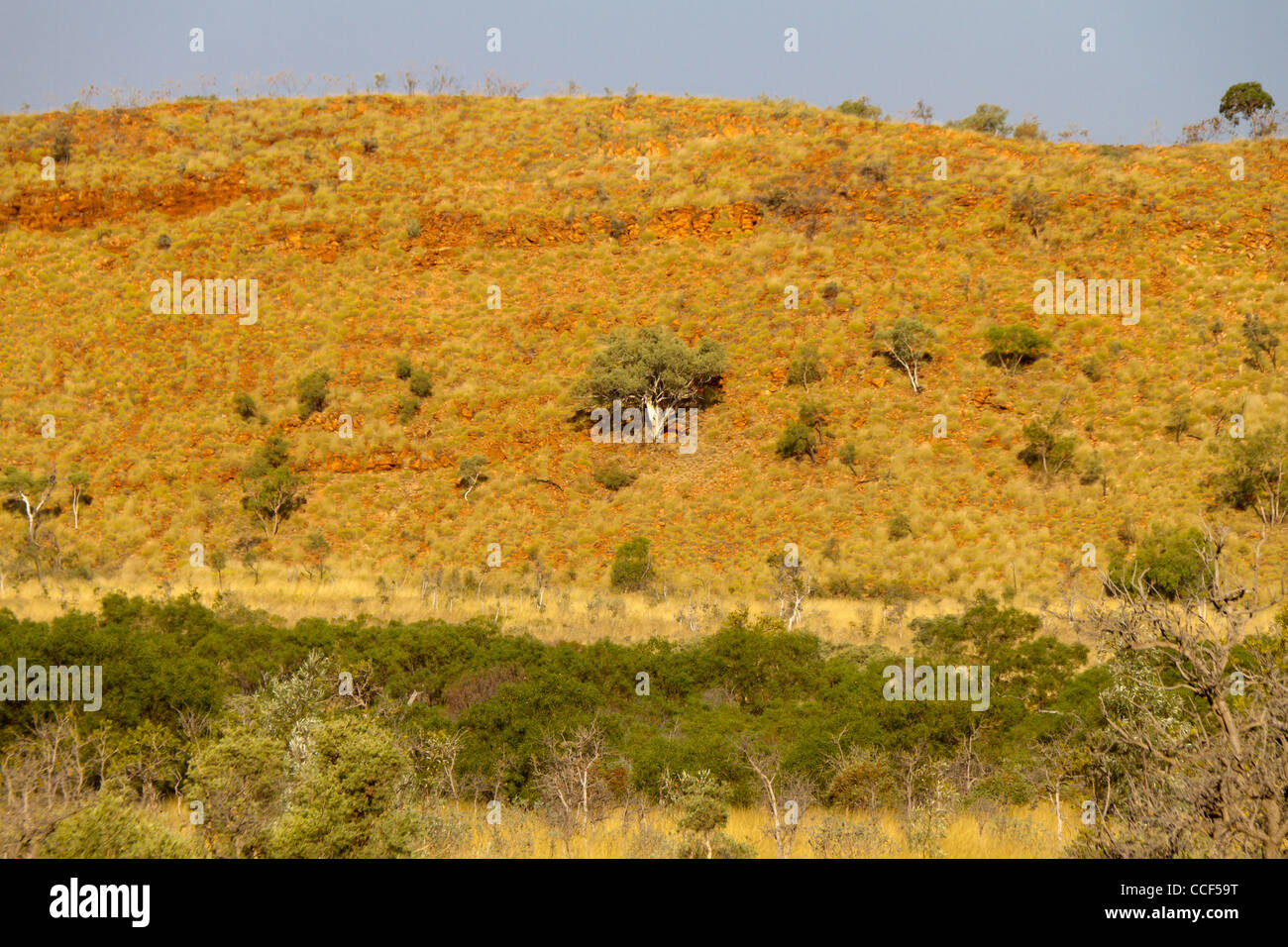 Wolfe Krater in Westaustralien. Die Wand von innen gesehen. Stockfoto