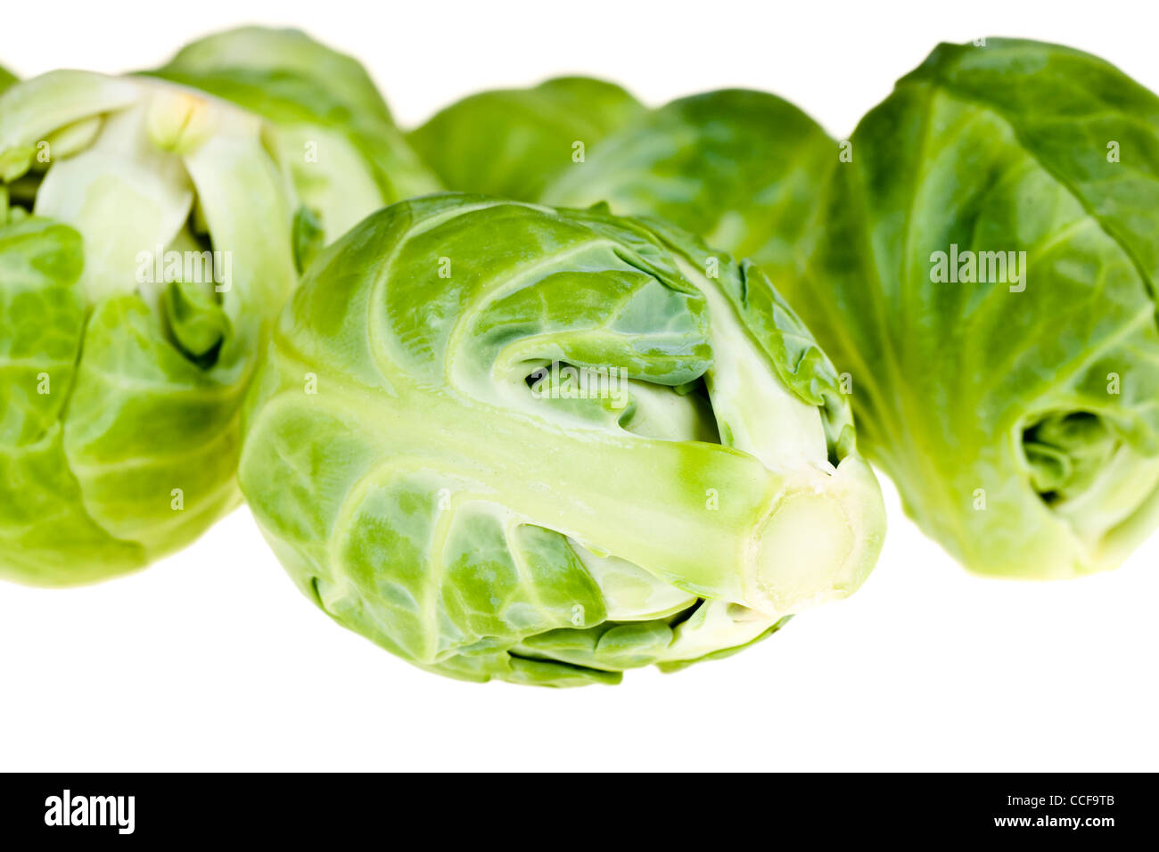 Grüne Rosenkohl isolierten auf weißen Hintergrund Stockfoto