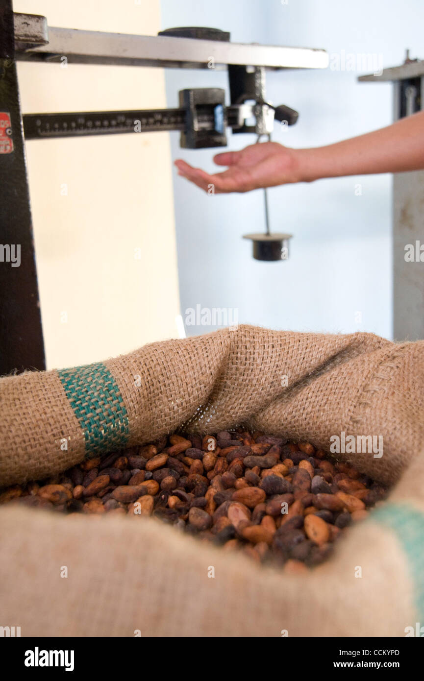 11. November 2010 - San Alberto, Kolumbien - San Alberto, Kolumbien, 11. November 2010 - Kakaobohnen in einen Markt-Shop in der Stadt San Alberto im Norden Kolumbiens gewogen werden. Durch ein Kakao-Pflanze-Projekt helfen internationaler Hilfsorganisationen, nachhaltige wirtschaftliche Chancen für kleine Fa erstellen Stockfoto