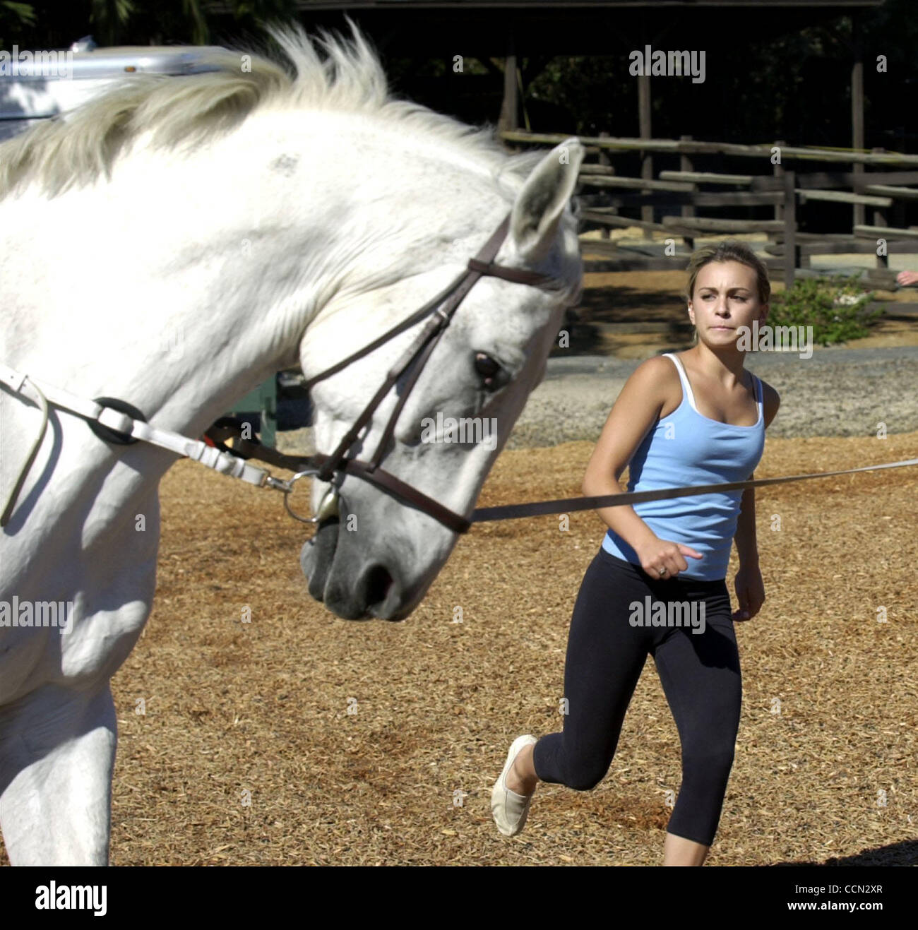 Katie Bowker wird ausgeführt, um mit Donatelo, ein Hannoveraner, Schritt zu halten, bevor sie das Pferd während Coast Line Voltigierer Team Praktiken auf Dienstag, 20. Juli 2004 in Woodside, Kalifornien offenbart   Das Team wird als Mitglied des US-Pferdesport Voltigieren Teams konkurrieren die im weltweiten Wettbewerb in Österreich.  (Contra Cos Stockfoto Katie Bowker wird ausgeführt, um mit Donatelo, ein Hannoveraner, Schritt zu halten, bevor sie das Pferd während Coast Line Voltigierer Team Praktiken auf Dienstag, 20. Juli 2004 in Woodside, Kalifornien offenbart   Das Team wird als Mitglied des US-Pferdesport Voltigieren Teams konkurrieren die im weltweiten Wettbewerb in Österreich.  (Contra Cos Stockfoto