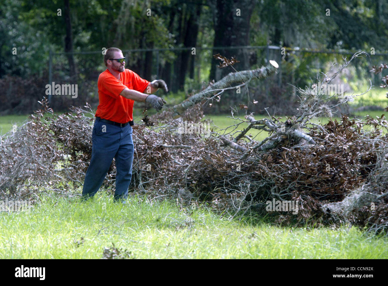 090304--eine Arbeitskraft löscht tote Äste vom Boden des Lake Helen Rathauses vor Hurrikan Frances Freitagmorgen. Lake Helen erlitten Schäden durch Hurrikan Charley nur wenige Wochen zuvor. BRUCE R. BENNETT/Staff-Fotograf Stockfoto