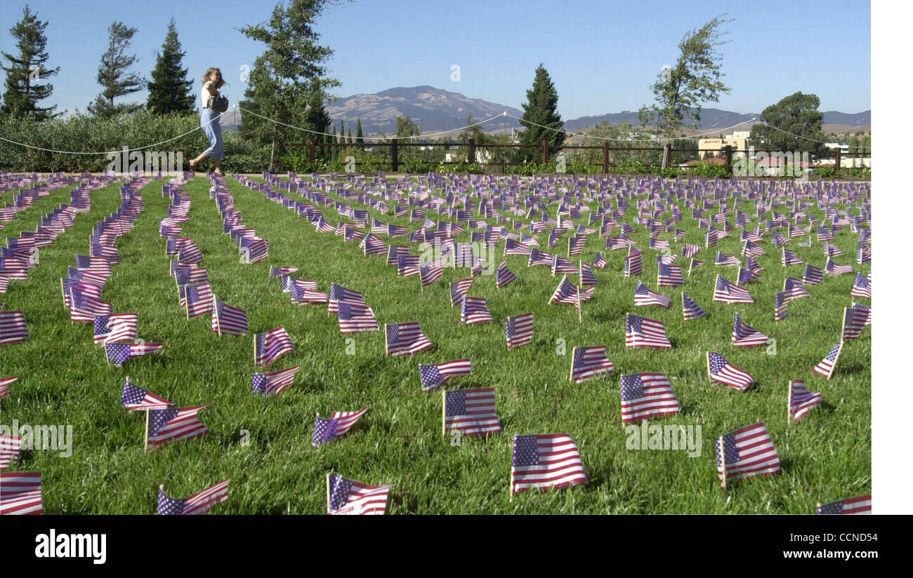 Über 4.000 geeinten Staaten Flaggen wurden im Memorial Park von Bollinger Grundschule 5. Klässler für ein Engagement der Wall of Honor, Samstag, 11. September 2004, im Alamo, Kalifornien Die Mauer wurde gebaut, um San Ramon Bewohner zu gedenken, die im Dienst des Landes oder des gemeinsamen gestorben sind Stockfoto