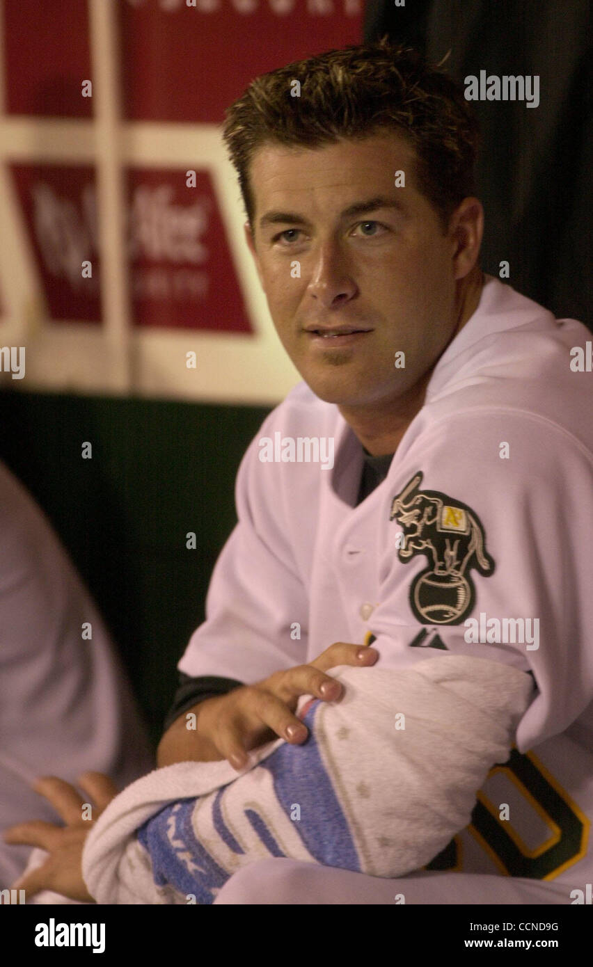 Oakland As Start Krug Mark Mulder Uhren das Spiel von der Trainerbank mit seinem Arm gewickelt, während die A-Spiel gegen die Cleveland Indians im Network Associates Coliseum in Oakland, Kalifornien am Freitag, 10. September 2004. (Sherry LaVars / Zeiten) Stockfoto