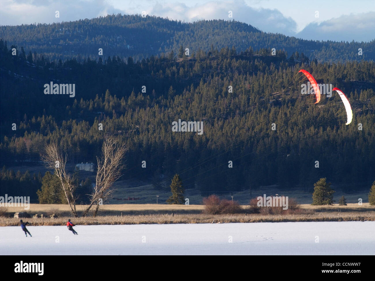 20. Februar 2003 wird durch eine speziell entwickelte Kite - Kalispell, Montana, USA - MARK C. JOHNSON gezogen, beim Skifahren auf zugefrorenen Smith-See. Johnson trägt ein Leben-Jacke, Helm und Bein Protektoren beim Kite Skifahren auf dem Eis. Bei böigem Wind sagte Johnson er Geschwindigkeiten rund 60 Meilen pro Stunde erreicht hat.  (Cred Stockfoto