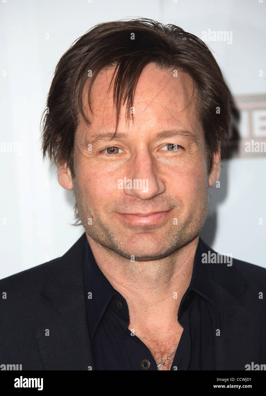 8. April 2010 abgehaltenen Arclight Hollywood - Hollywood, Kalifornien, USA - Schauspieler DAVID DUCHOVNY Ankunft in "The Joneses" Los Angeles Premiere. (Kredit-Bild: © Lisa O'Connor/ZUMA Press) Stockfoto