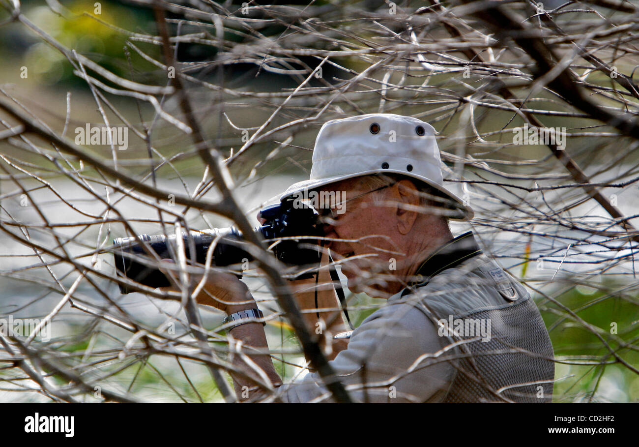 (LARGO 30.01.2008) Foto #6.) Amateur-Fotografen Harold Armitage <cq>aus Toronto, Kanada Stiele ein wenig Blue Heron in einem Teich in Florida botanischen Gärten in den Pinienwald Cultural Park.    JIM DAMASKE |  Mal</cq> Stockfoto