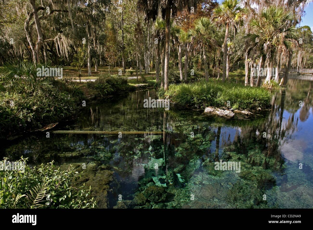 14. März 2008 - Zephyrhills, Florida, USA - ein Rohr ergibt sich aus der Öffnung des Crystal Spring, die die Quelle des Quellwassers Zephyrhills, die an der nahe gelegenen Nestlé Waters Abfüllanlage in Zephyrhills abgefüllt wird. Kristall-Frühling ist auch einer der wichtigsten Quellen des Wassers für die Hillsborough-ri Stockfoto
