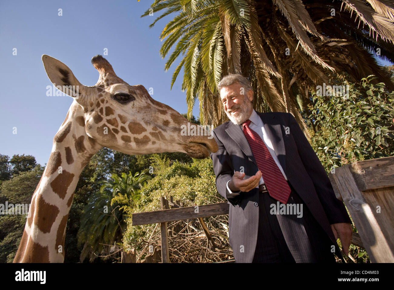 14. Oktober 2008 fotografiert - Oakland, Kalifornien, USA - Men es Wearhouse CEO GEORGE ZIMMER, 59, im Zoo von Oakland. Er sitzt auf dem Oakland Zoo Board und er ist gutgeschrieben mit praktisch sparen des einzige Ortes im Alleingang. (Kredit-Bild: © Martin Klimek/ZUMA Press) Stockfoto