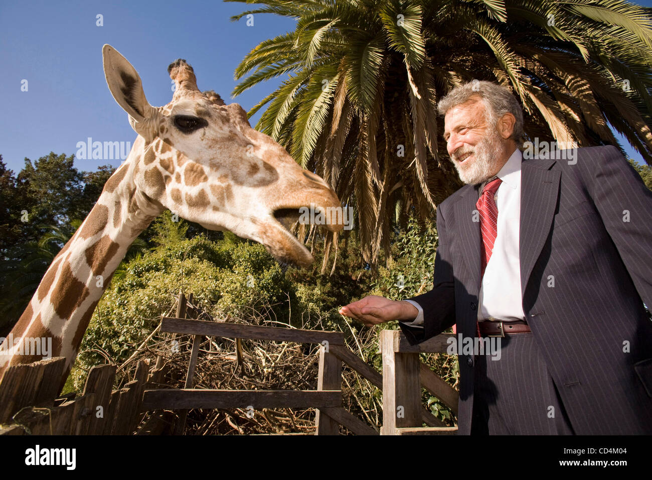 14. Oktober 2008 fotografiert - Oakland, Kalifornien, USA - Men es Wearhouse CEO GEORGE ZIMMER, 59, im Zoo von Oakland. Er sitzt auf dem Oakland Zoo Board und er ist gutgeschrieben mit praktisch sparen des einzige Ortes im Alleingang. (Kredit-Bild: © Martin Klimek/ZUMA Press) Stockfoto