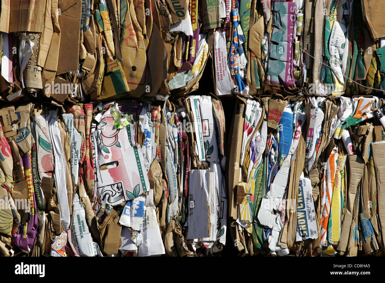 Tonnenweise Altpapier wird in South Bay Dokument Zerstörung Inc. gespeichert, als Preis für Papier und Kunststoff bricht zusammen. Der Preis-Sprung wurde durch einen plötzlichen Einbruch der Nachfrage nach Recycling-Materialien, vor allem aus China, verursacht, wie Hersteller ihre Produktion als die Weltwirtschaft zusammengebrochen geschnitten. (Foto von Ringo C Stockfoto