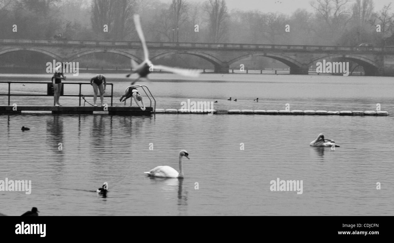 23. Februar 2011 sammeln - London, England, Vereinigtes Königreich - Regen oder Sonnenschein, ob Winter oder Sommer - Serpentine Swimming Club Mitglieder auf dem Serpentine Lido im Hyde Park ganzjährig. Die Serpentine Swimming Club ist eines der ältesten Schwimmclubs in dem Land, aus dem Jahr 1894. Das Highlight der Saison Stockfoto