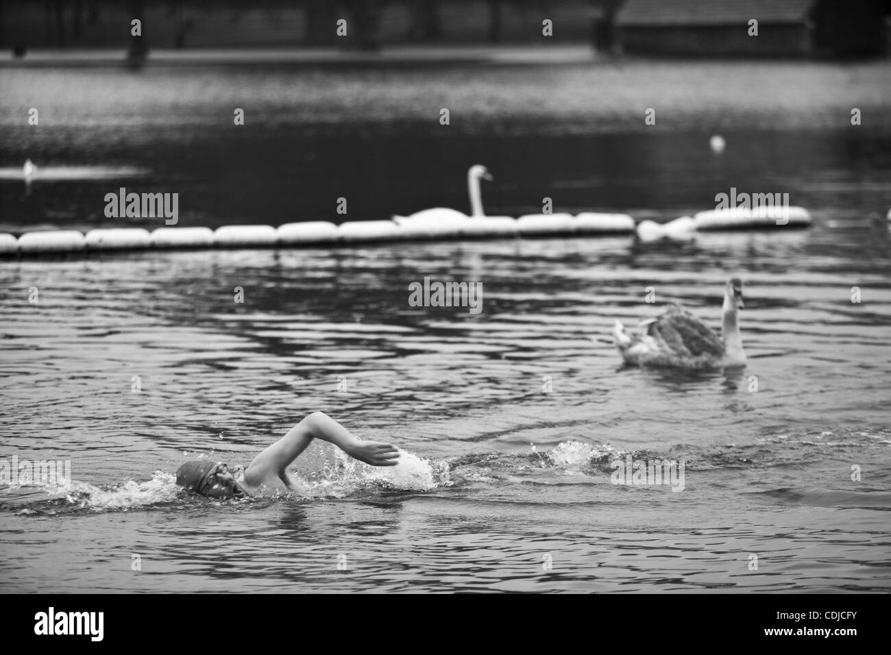 23. Februar 2011 - beginnt London, England, Vereinigtes Königreich - Jeremy seine schwimmen. Regen oder Sonnenschein, sammeln Winter oder Sommer - Serpentine Swimming Club Mitglieder auf dem Serpentine Lido im Hyde Park das ganze Jahr. Die Serpentine Swimming Club ist eines der ältesten Schwimmclubs in dem Land, aus dem Jahr 1894. Die Stockfoto