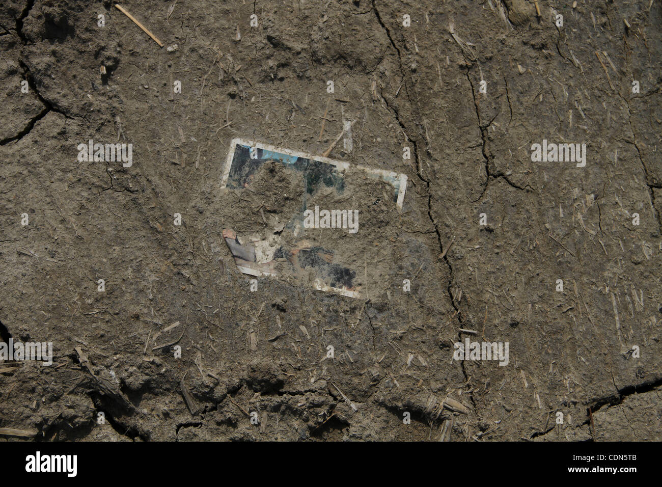 4. Mai 2011 - liegen in den Trümmern eines stark beschädigten Gewächshauses Natori, Miyagi, Japan - Fotos, mit den Trümmern durchgeführt.  Dieses Gebiet war berühmt für seine Nelken. (Bild Kredit: Wesley Cheek/ZUMAPRESS.com ©) Stockfoto