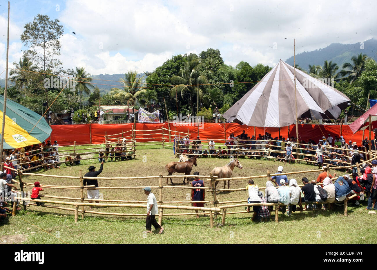 14. Juli 2011 - Lake Sebu, Philippinen - Einheimischen beobachten grausamen und barbarischen Pferd kämpfen in Lake Sebu, einer kleinen Stadt im Süden der Philippinen. Die Veranstaltung war Teil des Tnalak-Festivals der Provinz South Cotabato. Hengste waren gezwungen, bis zum Tod kämpfen. Die Wildheit war aber Stil vor 13 Jahren verboten. Stockfoto