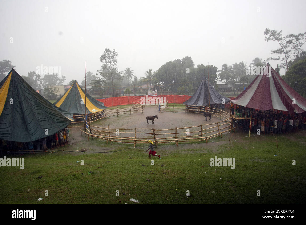 14. Juli 2011 - Lake Sebu, Philippinen - Einheimischen nehmen Abdeckung unter Zelten vor dem Regen, wie sie grausam und barbarisch Pferd kämpfen in Lake Sebu, einer kleinen Stadt im Süden der Philippinen zu sehen. Die Veranstaltung war Teil des Tnalak-Festivals der Provinz South Cotabato. Hengste waren gezwungen, bis zum Tod kämpfen. Stockfoto
