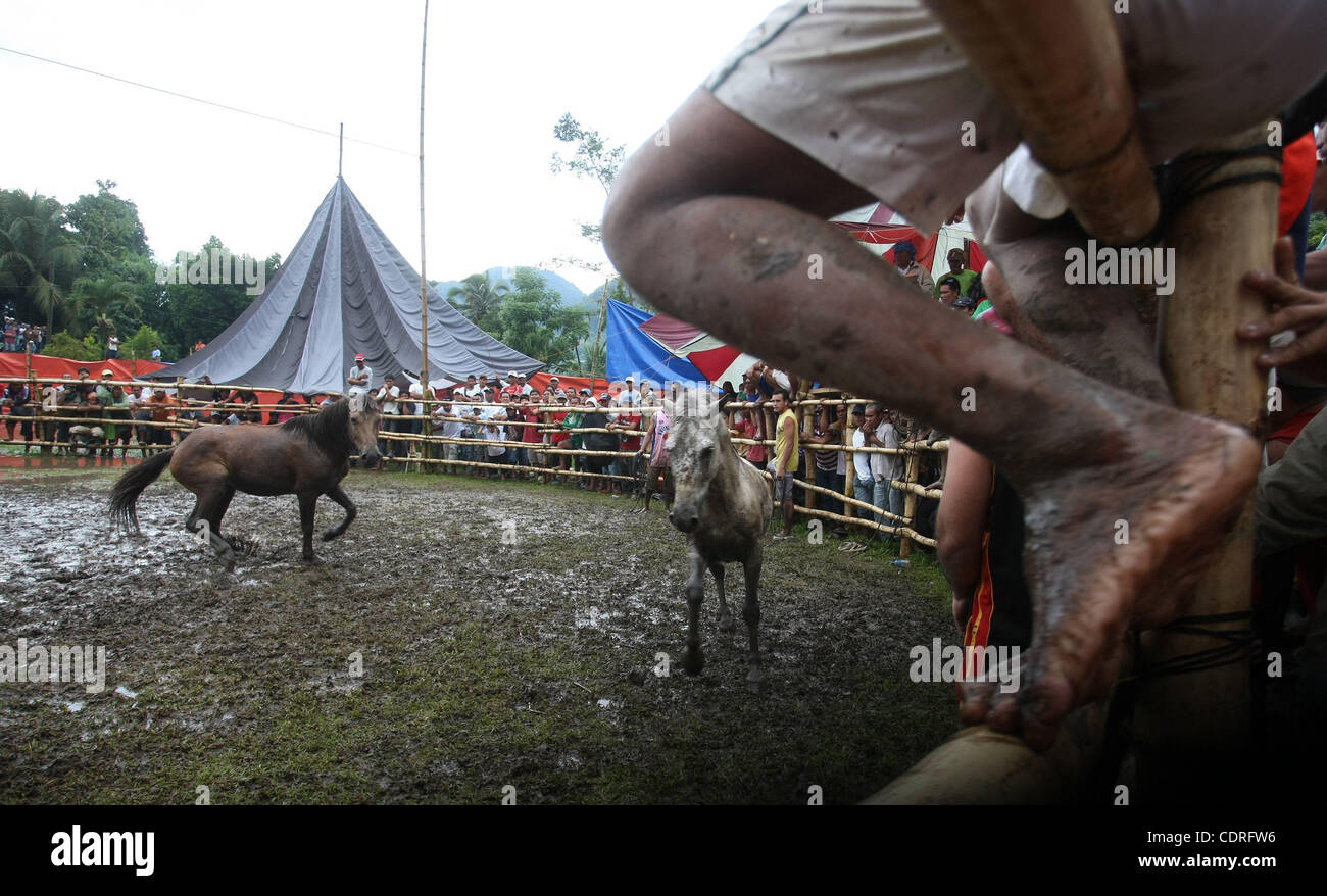 14. Juli 2011 - Lake Sebu, Philippinen - Einheimischen beobachten grausamen und barbarischen Pferd kämpfen in Lake Sebu, einer kleinen Stadt im Süden der Philippinen. Die Veranstaltung war Teil des Tnalak-Festivals der Provinz South Cotabato. Hengste waren gezwungen, bis zum Tod kämpfen. Die Wildheit war aber Stil vor 13 Jahren verboten. Stockfoto