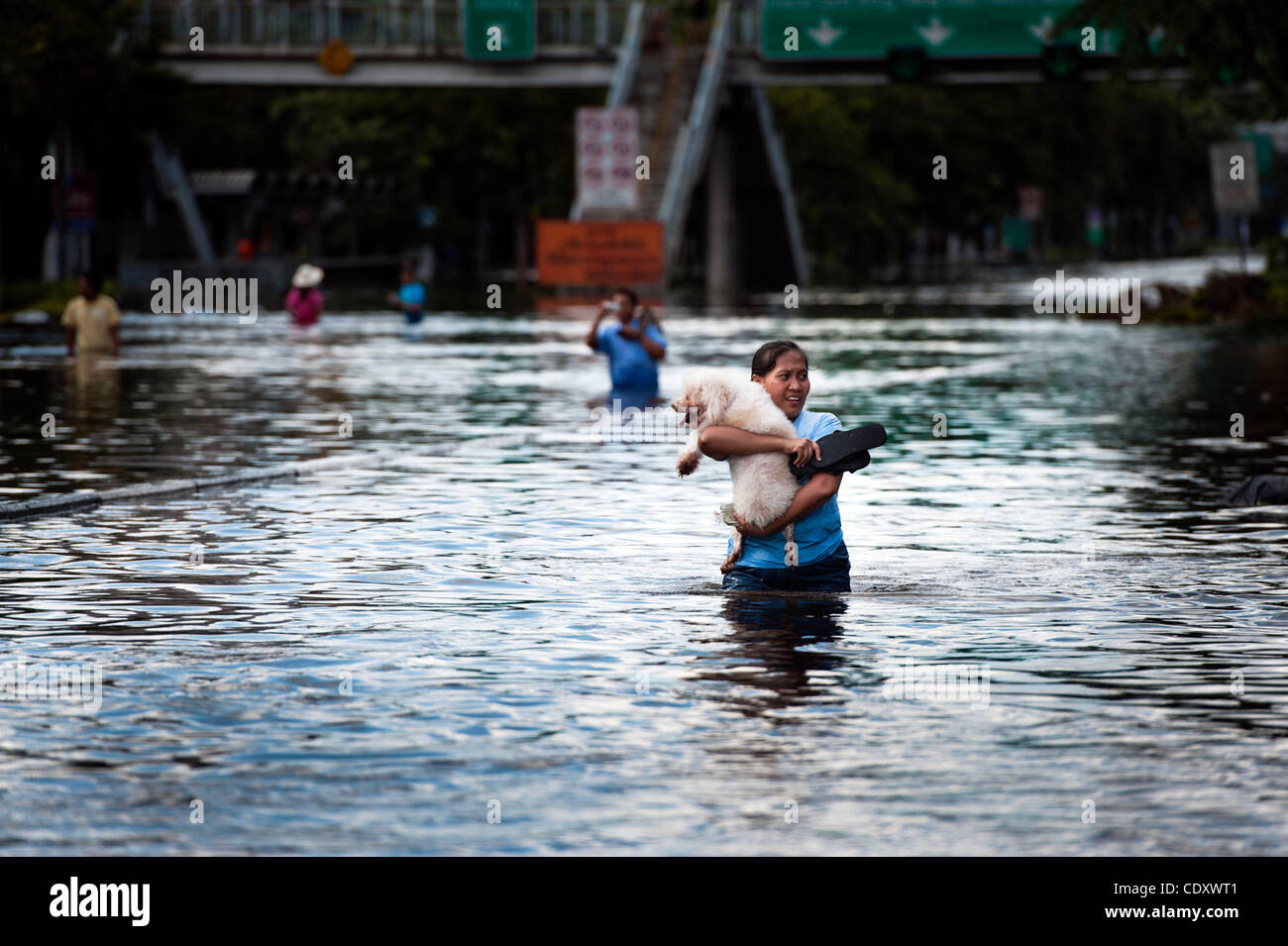 29. Oktober 2011 - weichen Bangkok, Bangkok, Thailand - eine Frau durch überflutete Straßen Pinklao Wohngebiet halten Sie ihren Hund. Abschirmung der Zentrum Thailands Hauptstadt von den schlimmsten Überschwemmungen vor allem Verteidigung hielt bei kritischen Höhepunkt Gezeiten Samstag, aber die meisten Bezirke in Bangkok blieb sub Stockfoto
