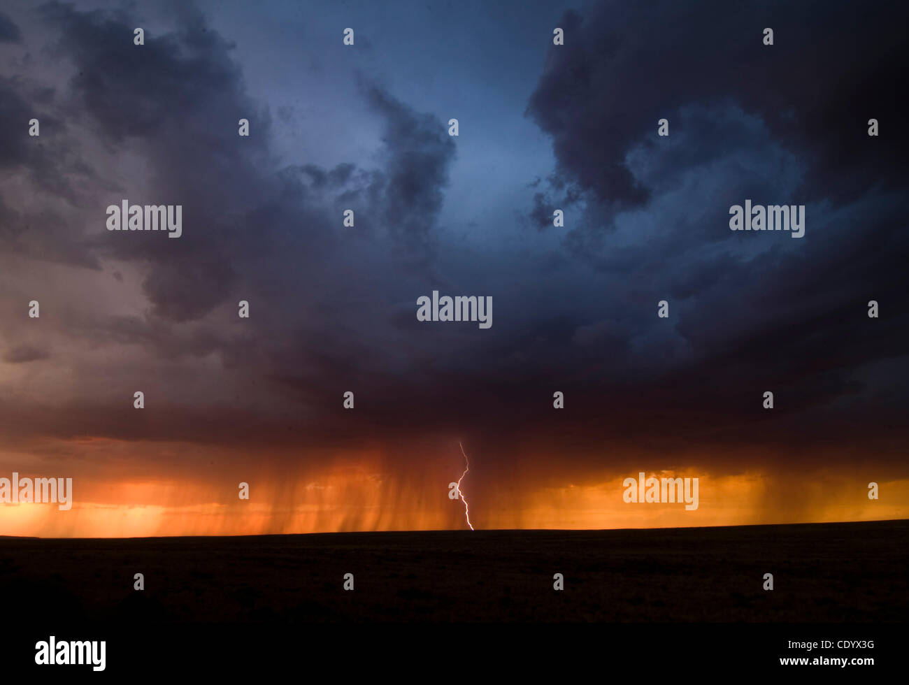 1. September 2011 - Navajo, Arizona, USA - 31. August 2011. Navajo Arizona, USA.  Sommergewitter und Donner Rollen über die Ebenen der östlichen Arizona nahe dem Petrified Forest National Park. (Kredit-Bild: © Ralph Lauer/ZUMAPRESS.com) Stockfoto