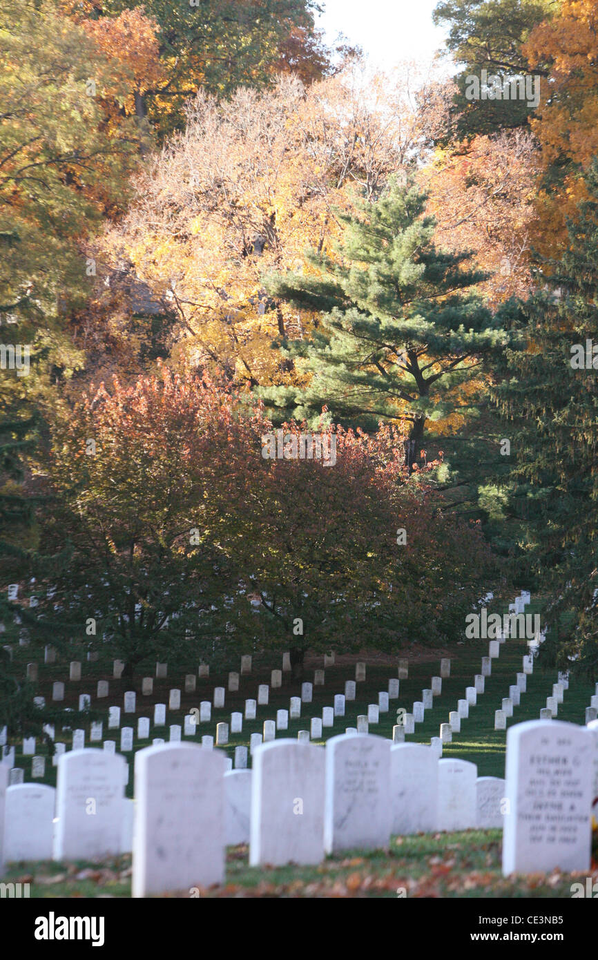 Allgemeine Ansichten von Arlington Cemetery im Herbst Saison Washington DC, USA - 11.11.10 Stockfoto