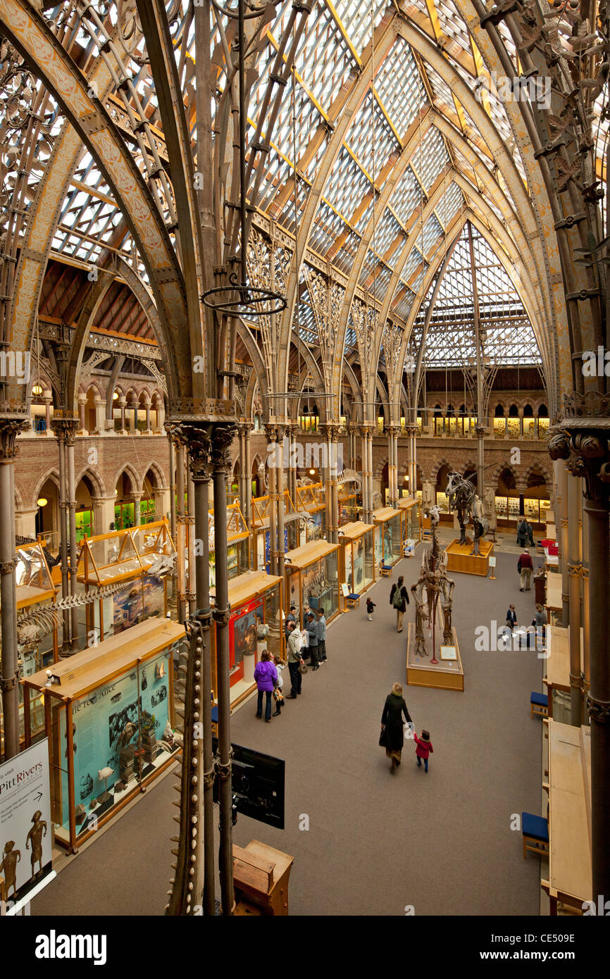 University of Natural History, Oxford, England Stockfoto