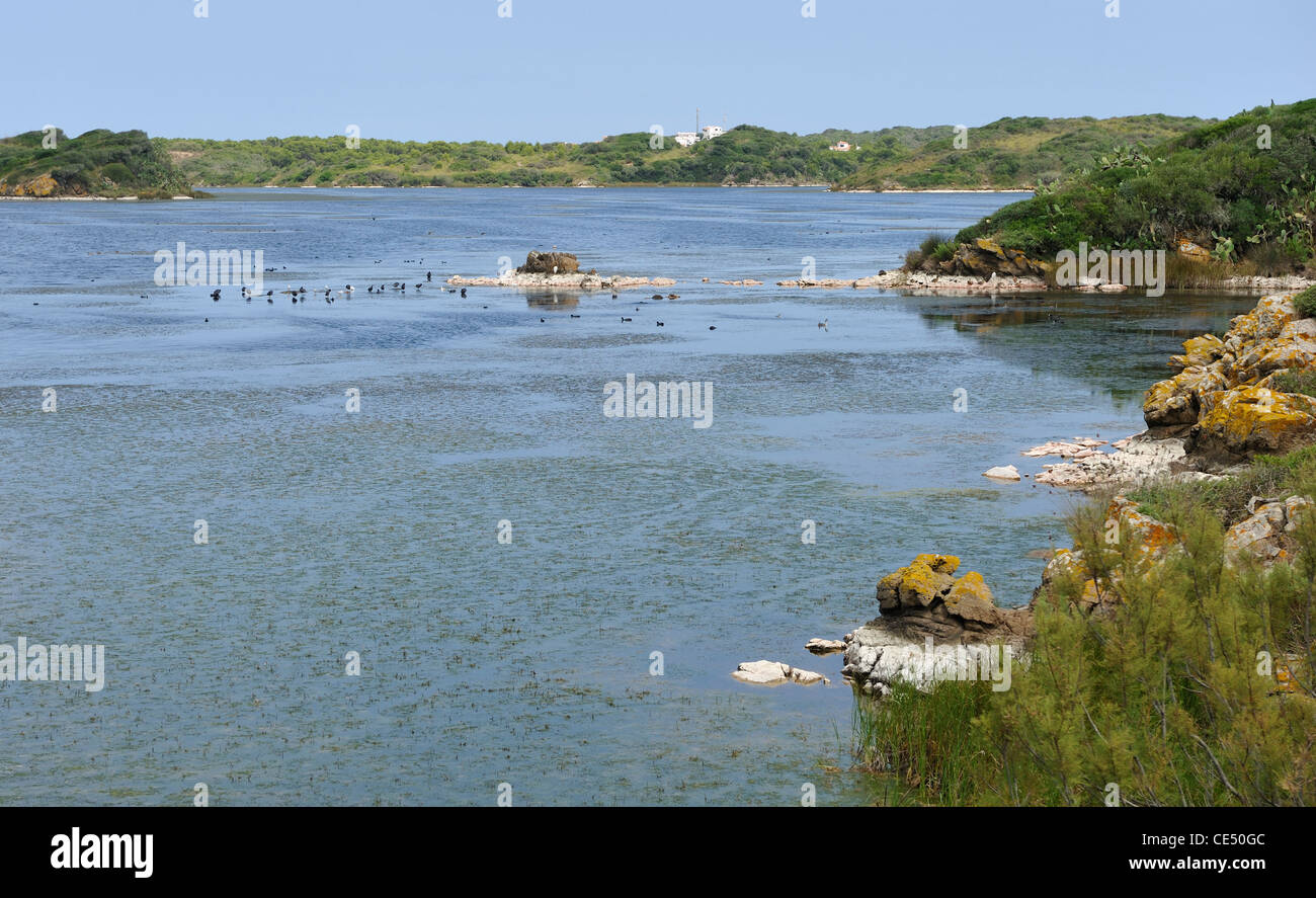 Naturpark Albufera Es Grau Menorca Spanien Stockfoto