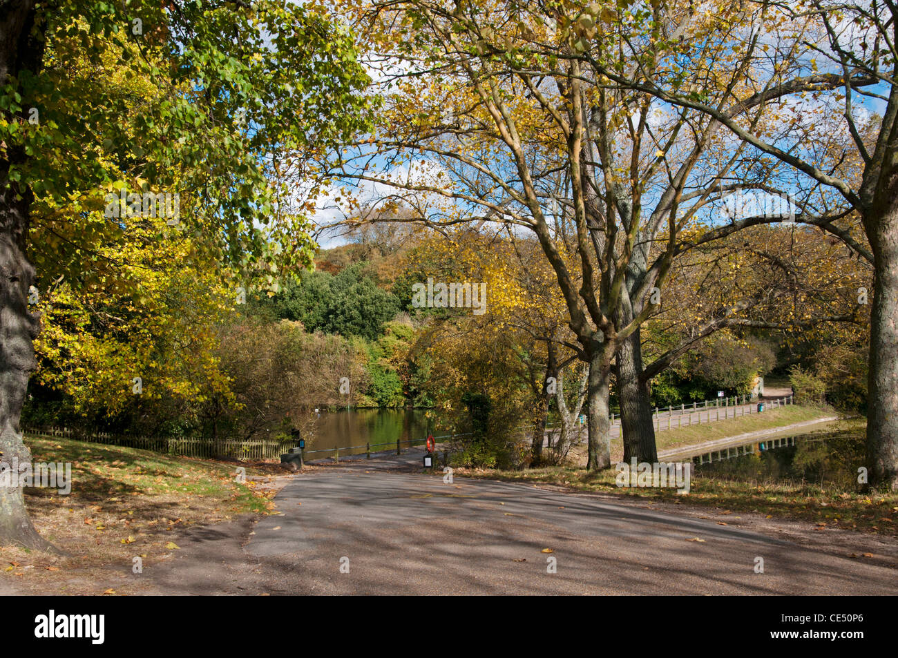 London, Hampstead Heath, Südende Teiche im Herbst. Stockfoto