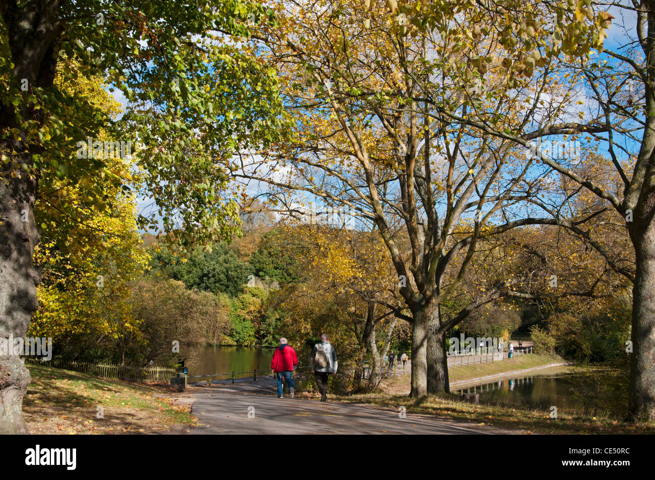 London, Hampstead Heath, Südende Teiche im Herbst. Stockfoto