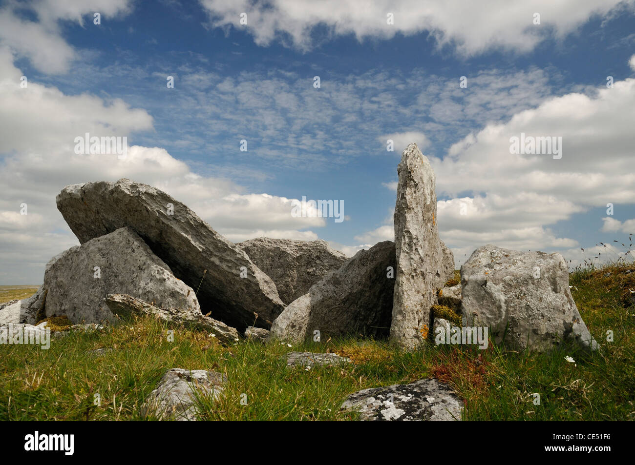 Kleine megalithischen Wedge Tomb mit eingestürzten Dach, gemeinsame Killinaboy, The Burren Stockfoto