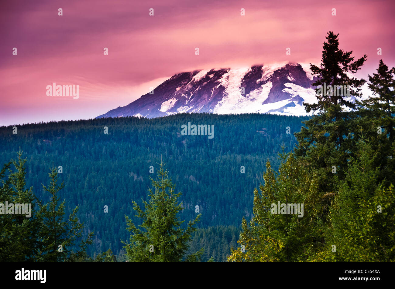 Eine schneebedeckte Mount Rainier. Stockfoto